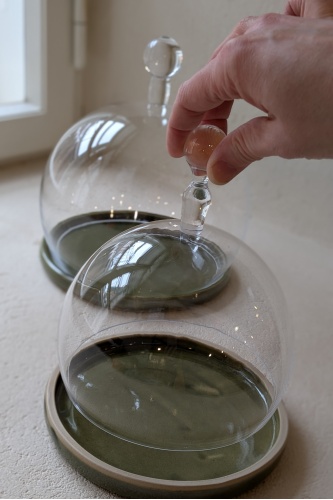 Juustualus klaaskupliga, M