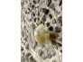 IMG_3949 (2).jpeg